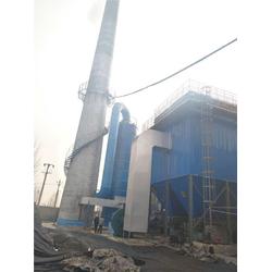 工廠環保除塵設備 廣東環保除塵設備 山成鍋爐